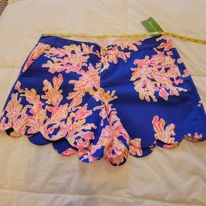 Lilly Pulitzer Buttercup Shorts Brilliant Blue It's Eelectric 10 NWT